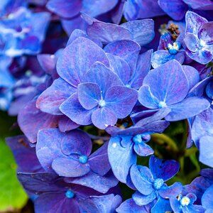 Sharing My Closet With You